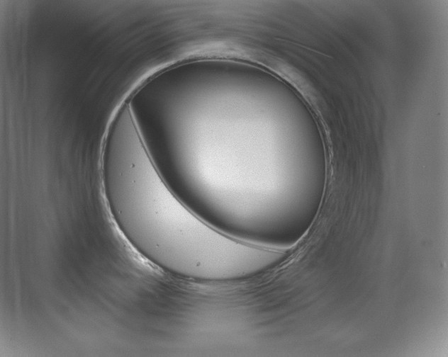 X0000070241392200606020921