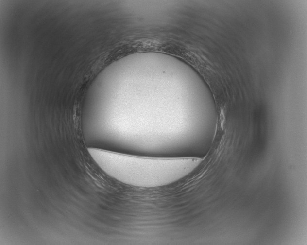 X0000070241395200606020920