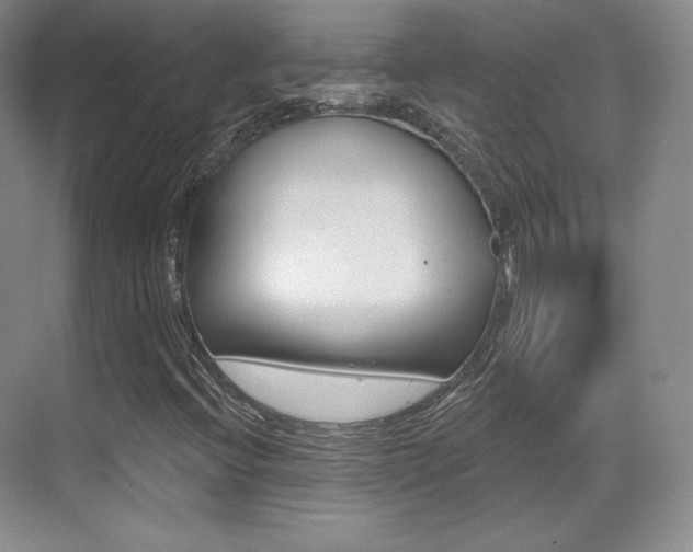X0000070241396200606020920