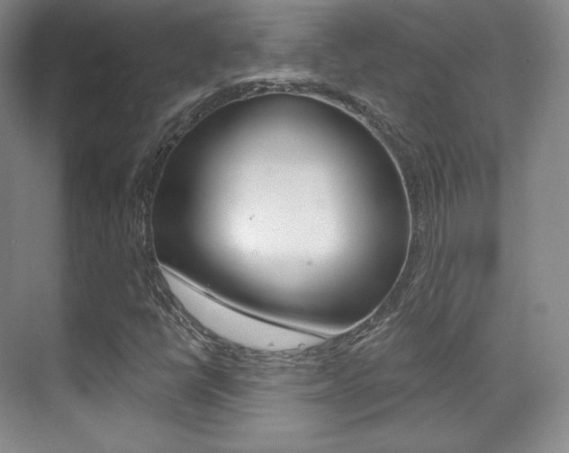 X0000070241398200606020920
