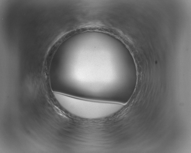 X0000070241400200606020920