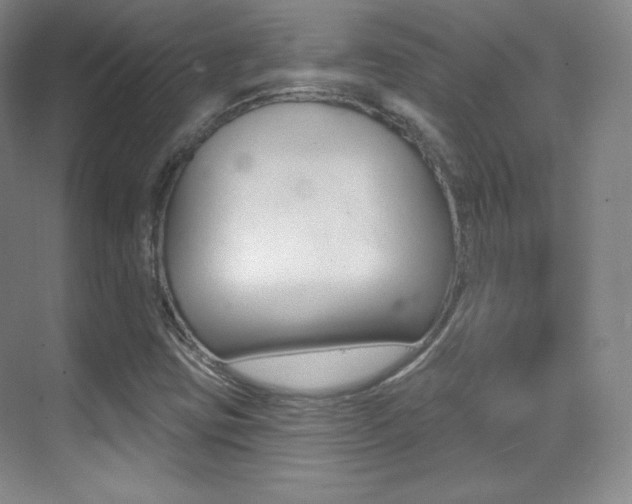 X0000070241403200606020921