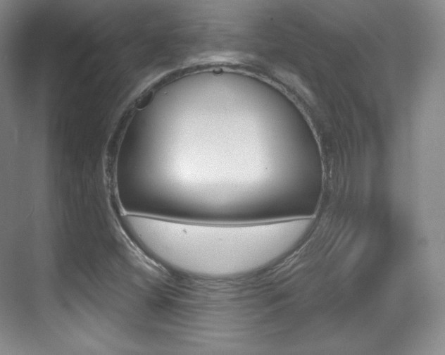 X0000070241404200606020921