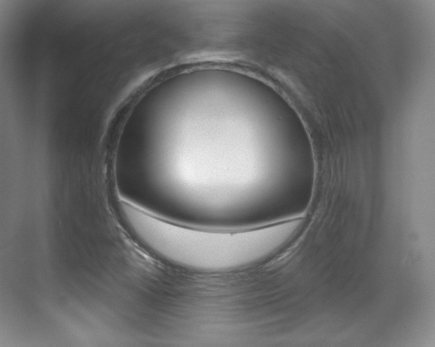 X0000070241406200606020921
