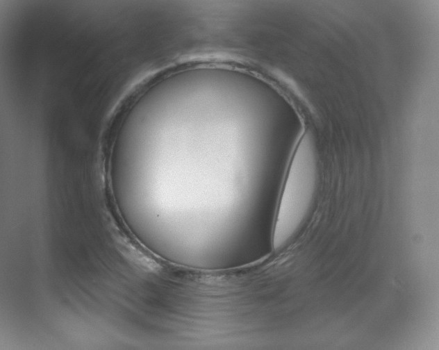 X0000070241408200606020921