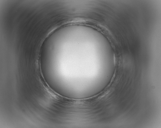 X0000070241409200606020921