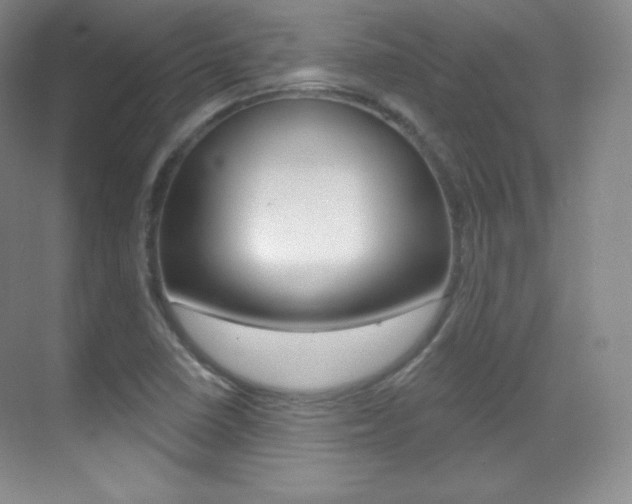X0000070241410200606020921
