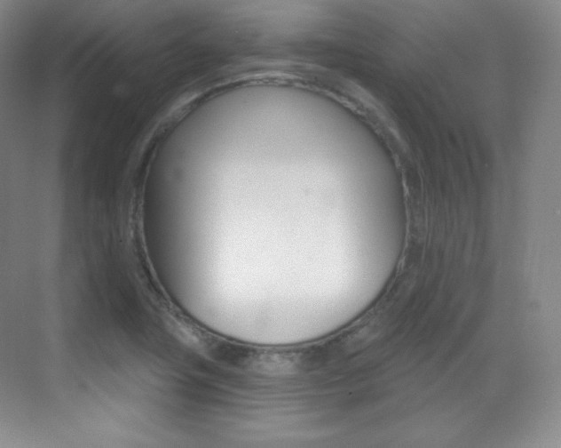 X0000070241411200606020921