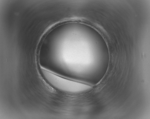 X0000070241412200606020921