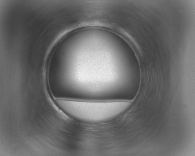 X0000070241416200606020921