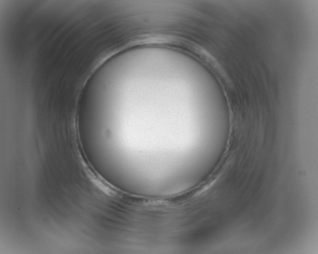 X0000070241417200606020921