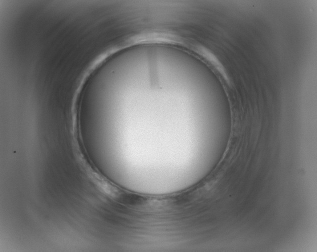 X0000070241419200606020921