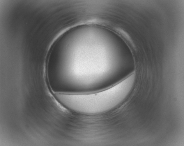 X0000070241420200606020921
