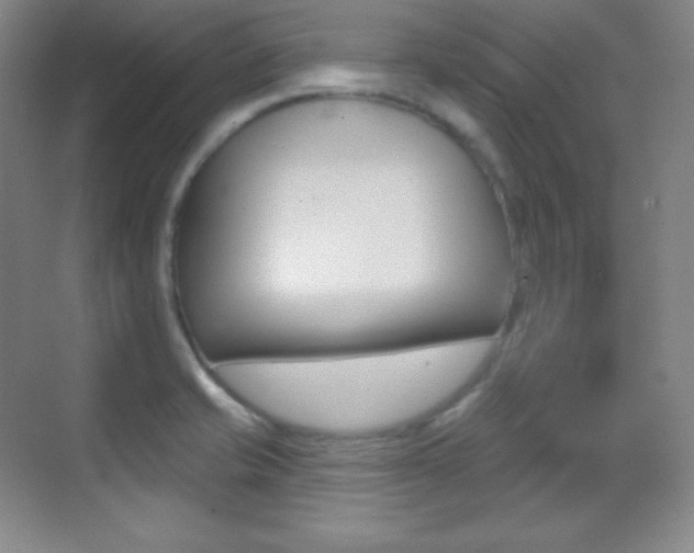 X0000070241421200606020921