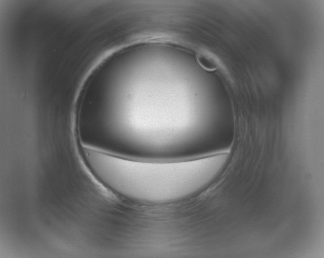 X0000070241424200606020921