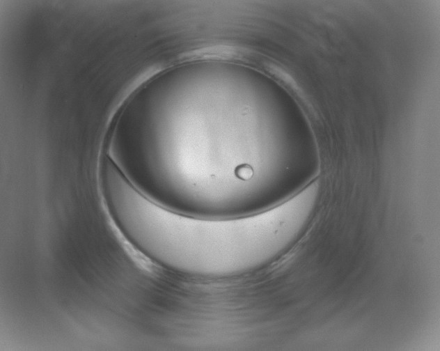 X0000070241426200606020921