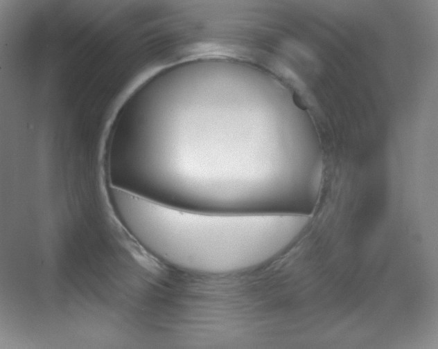 X0000070241427200606020921