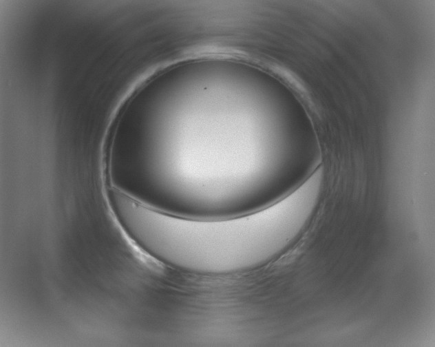 X0000070241430200606020921