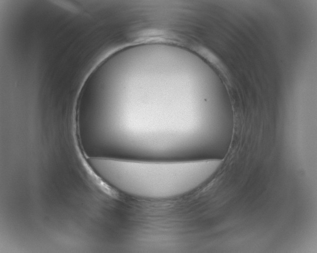 X0000070241431200606020921
