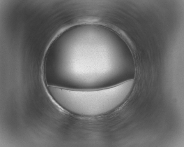 X0000070241432200606020921