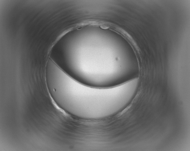 X0000070241433200606020921