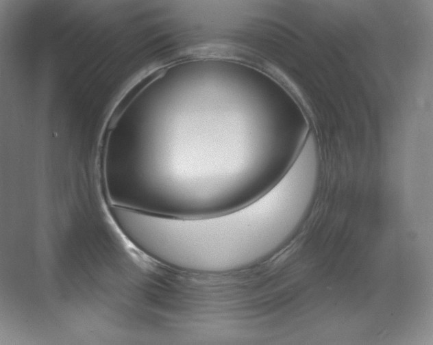 X0000070241434200606020921