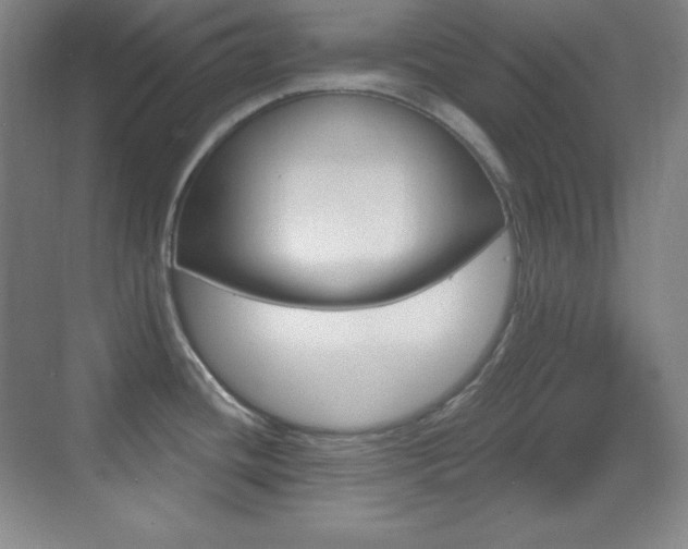 X0000070241436200606020921