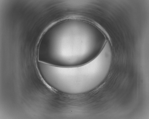 X0000070241437200606020921