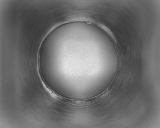 X0000070241439200606020921