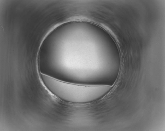 X0000070241440200606020921