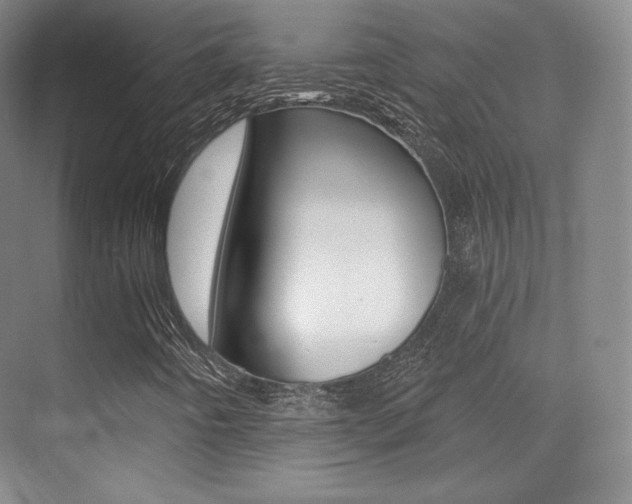 X0000070241442200606020920