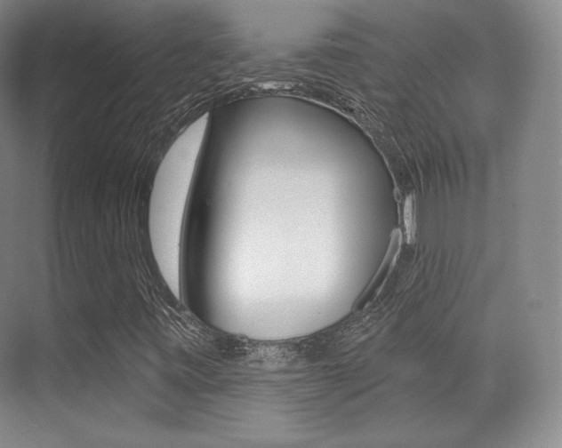 X0000070241443200606020920