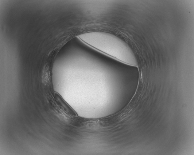 X0000070241444200606020920