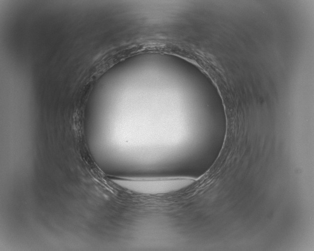 X0000070241445200606020920