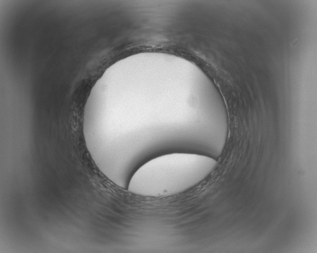 X0000070241447200606020920