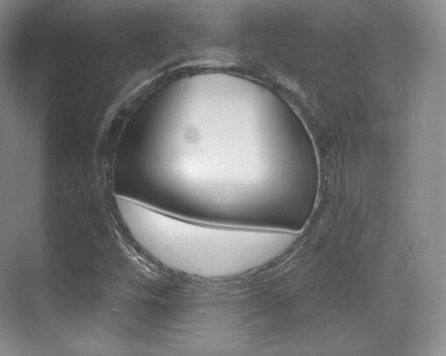 X0000070241448200606020920