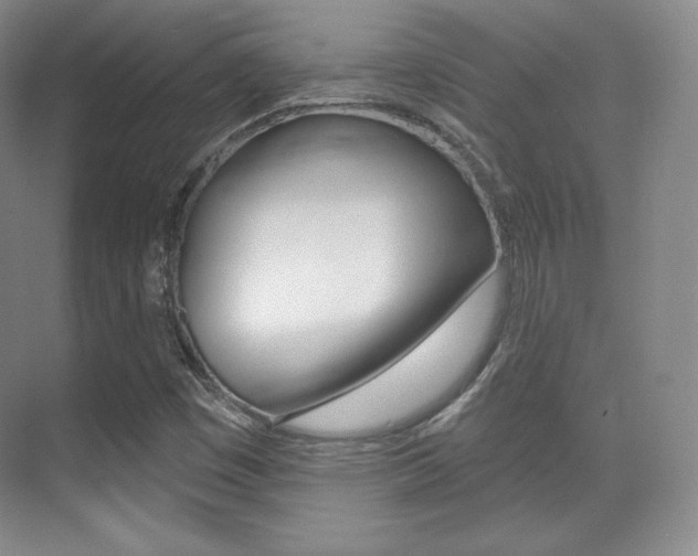 X0000070241449200606020920