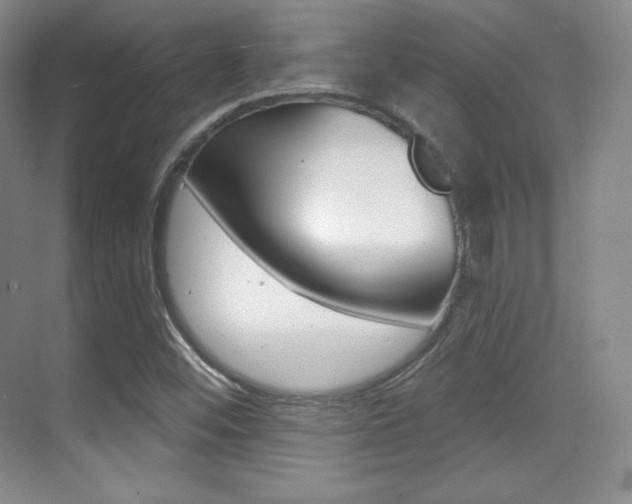 X0000070241452200606020920