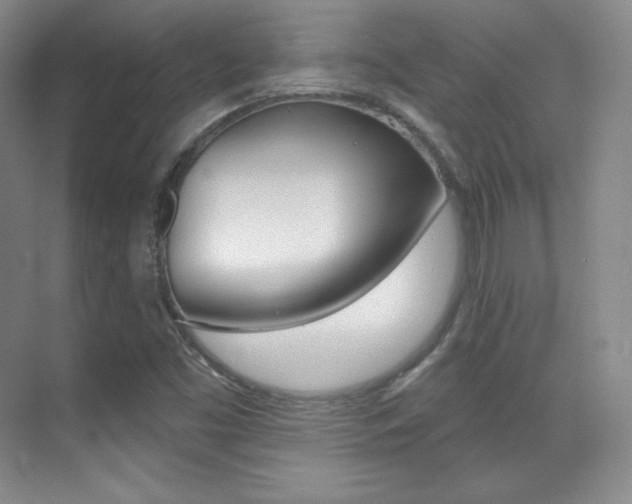 X0000070241453200606020920
