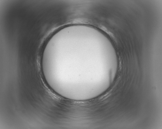 X0000070241454200606020920