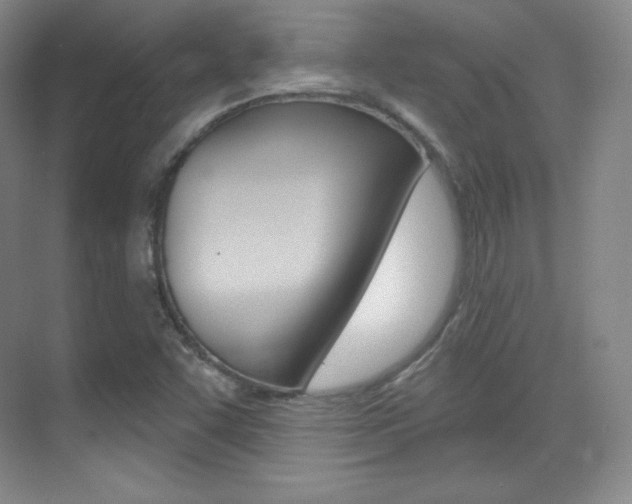 X0000070241455200606020920