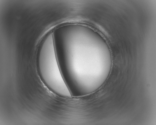 X0000070241456200606020920