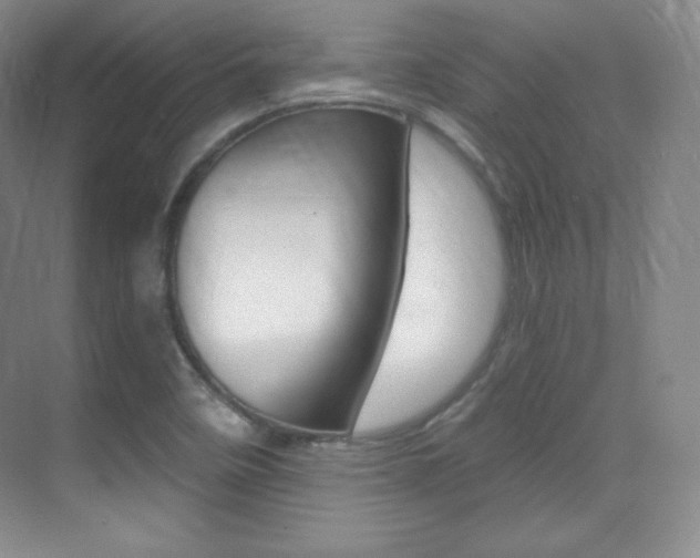 X0000070241458200606020920