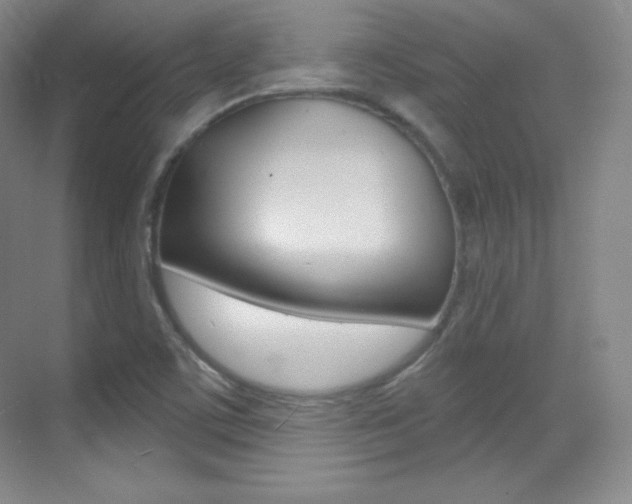 X0000070241459200606020920