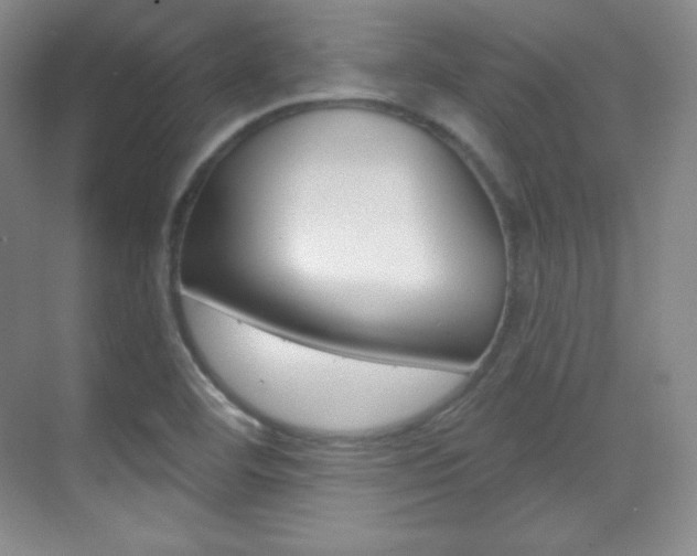 X0000070241460200606020920