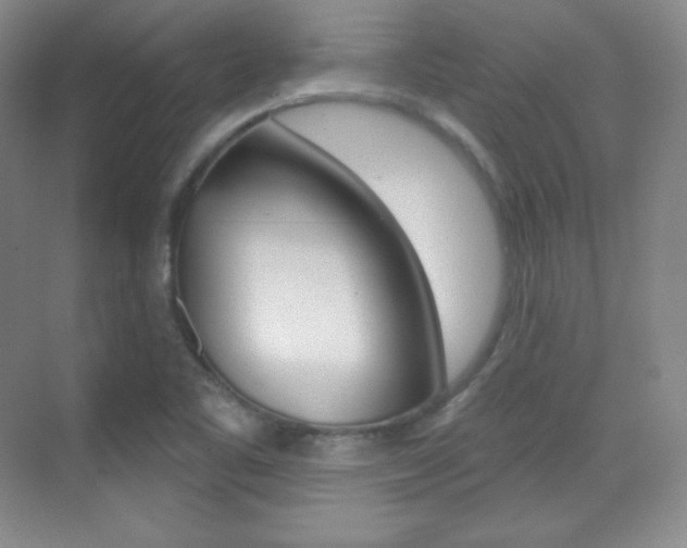 X0000070241461200606020920