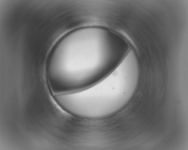 X0000070241468200606020920