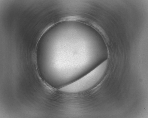 X0000070241473200606020920