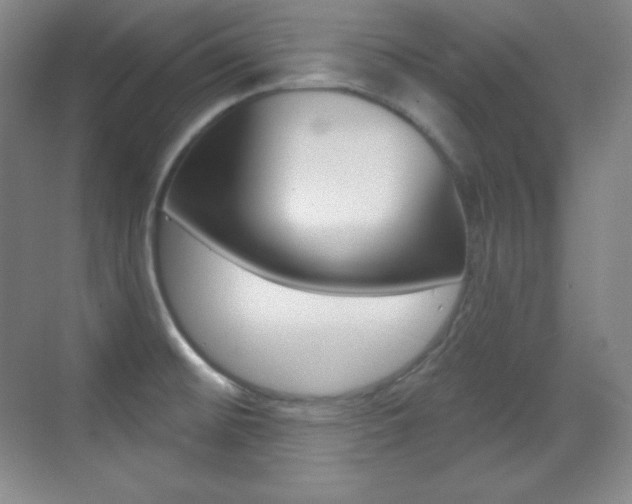 X0000070241476200606020920
