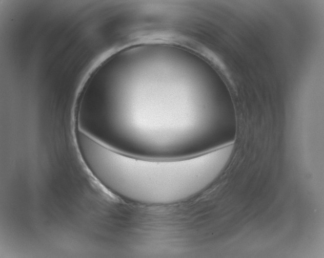 X0000070241480200606020920